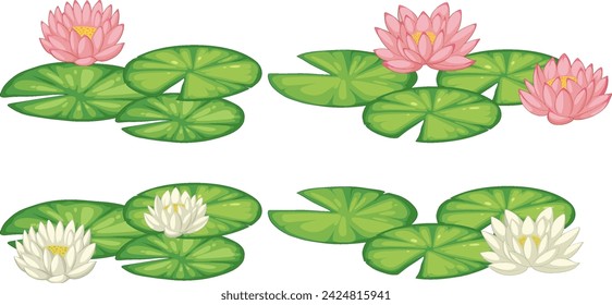 Vector illustration of blooming water lilies and pads