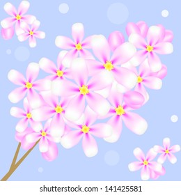 Vector illustration of blossom