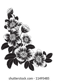 Ilustración vectorial - flores de flor