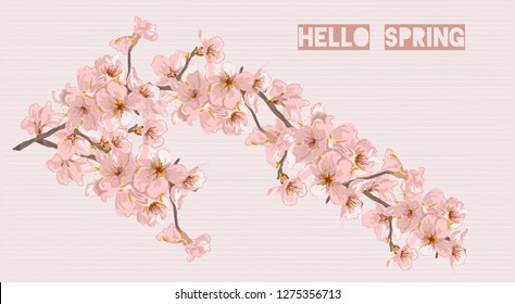 vector illustration of a blossoming branch of a cherry, place the graphic, cartoon design