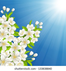 Vector illustration with blossoming cherry