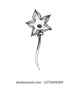Vector illustration. A blossoming pumpkin flower, graphically drawn on a white background. Suitable for printing on fabric, paper, design and creativity. For cards, invitations and advertising.