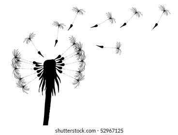 Ilustración vectorial del diente de león soplando sobre un fondo blanco