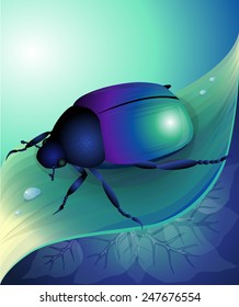 Vector illustration of blue beetle on herb