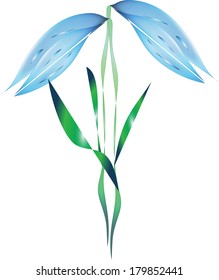 Vector illustration of blue bell flower on a white background, isolated