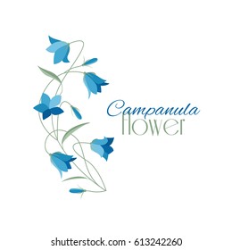 Vector illustration blue bell-shaped bloom, summer flower Campanula