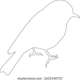 Vector illustration of Blue bird 