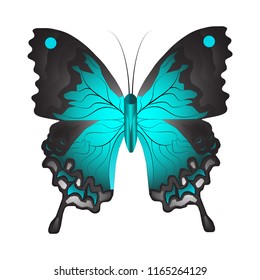 Vector illustration of a blue butterfly