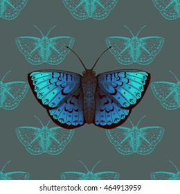 Vector illustration of blue butterfly