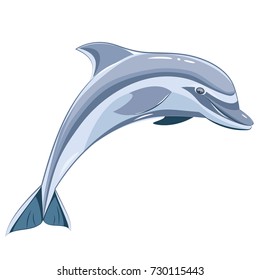 Vector illustration of blue dolphin on a transparent background