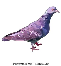 Vector illustration of blue dove. EPS 10