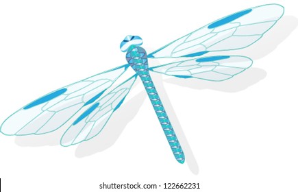 Vector illustration of blue dragonfly