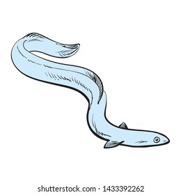 Vector illustration of blue eel fish in sketch style isolated on white background. Hand drawn raw european eel - marine wild edible animal for seafood restaurant or market design.