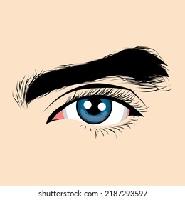 vector illustration of blue eyes man with thick black eyebrows