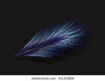 Vector illustration of the blue feather.