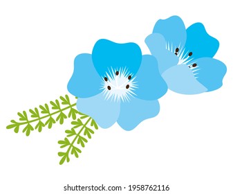 ネモフィラ 花 のイラスト素材 画像 ベクター画像 Shutterstock