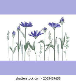 Ilustración vectorial de flores azules. Plantas dibujadas a mano, hojas, flores. 