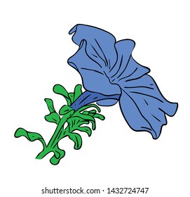 Vector illustration, blue four o'clock flower with green leafs isolated on white background, outline hand painted drawing