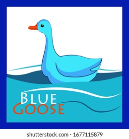 Blue Goose High Res Stock Images Shutterstock