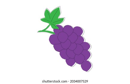 Vector illustration of blue grapes on a white background. Berries icon for farm market menu. Ecological design of healthy food