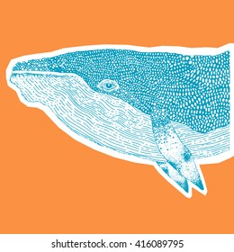 Vector Illustration of a blue graphic hand drawn whale on an orange background