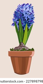 Vector illustration of blue hyacinth in a pot isolated on light background. Houseplant.