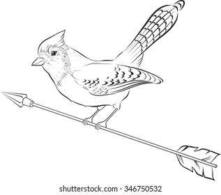 Vector Illustration Of Blue Jay Silhouette. Bird.