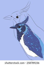 vector illustration blue jays on a blue background