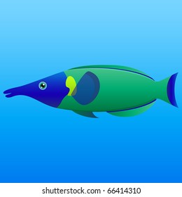 A vector illustration of a blue, lime and green long nosed bird wrasse fish on blue background.