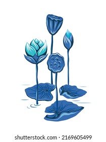 Vector illustration with blue lotuses and stems in lake. Botanical image with foliage and flowers on white background. Flat hand drawn clipart composition of water lilies and seed pods in river