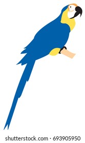 Vector illustration of a blue macaw sitting on a branch, isolated