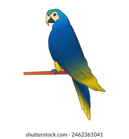 Ilustración vectorial de loro azul sobre fondo blanco aislado. Pájaro tropical.