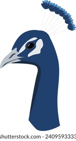 ilustración vectorial de la cabeza de pavo real azul