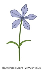 Vector illustration of a blue phlox flower. Floral decorative element.