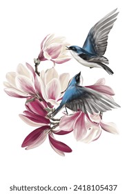Ilustración vectorial con las golondrinas azules y las flores de magnolia rosa sobre el fondo transparente.