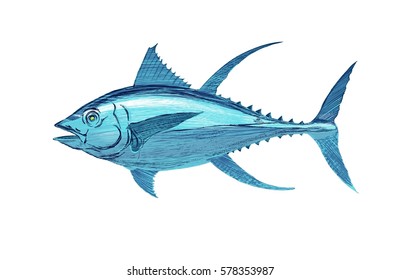 Vector illustration of blue tuna on a white background