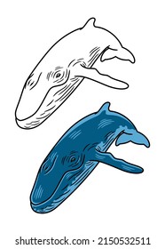 Vector illustration of a blue wale, in color and black and white versions, isolated on a white background.