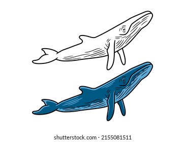 Vector Illustration Of A Blue Wale, In Color And Black And White Versions, Isolated On A White Background.