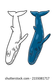 Vector Illustration Of A Blue Wale, In Color And Black And White Versions, Isolated On A White Background.
