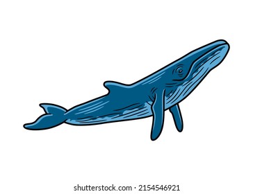 Vector Illustration Of A Blue Wale, Isolated On A White Background.