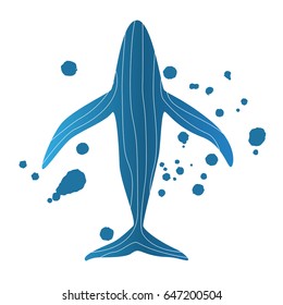 Vector illustration of a blue whale