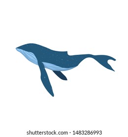Vector illustration of Blue whale isolated on white background