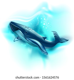 Vector illustration of Blue whale isolated on blue background. Wall stickers