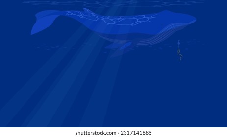 Vector illustration of a blue whale swimming underwater with a diver. Blue sea banner background with copy space.