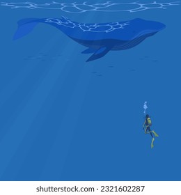 Vector illustration of a blue whale swimming underwater with a diver. Summer square banner frames.