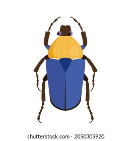 Vector illustration of a blue and yellow beetle