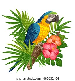 Dibujo vectorial de macao de loro azul y amarillo con hojas tropicales y flores de hibisco