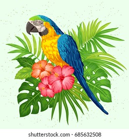 Vector illustration of blue and yellow parrot ara macaw with tropical leaves and hibiscus flowers