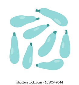 Vector illustration of blue zucchini. Set of zucchini isolated on white background. Illustration of vegetables. Vegan concept. Suitable for illustrating healthy eating, recipes, local farm.