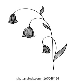 Vector illustration with bluebell in lines in green colors
